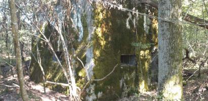 Ligne Maginot - SCHWANDELWALD SUD - (Blockhaus pour arme infanterie) - Les deux créneaux, l'un frontal et l'autre en flanquement gauche.