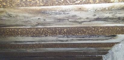 Ligne Maginot - SCHWANDELWALD SUD - (Blockhaus pour arme infanterie) - Le plafond du blockhaus