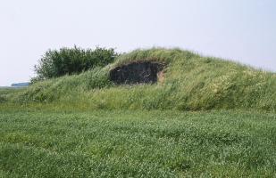 Ligne Maginot - LES CHATS - (PC) - 