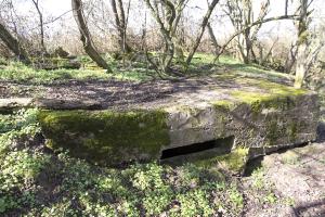 Ligne Maginot - MISTBERG 3 - 