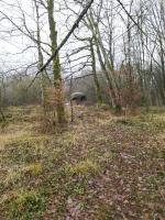 Ligne Maginot - BOIS DE KANFEN - X5 - (Abri) - Vue au loin de l'abri et sur sa cloche GFM restante.