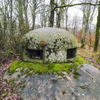 Ligne Maginot - BOIS DE KANFEN - X5 - (Abri) - La cloche GFM restante vue de l'extérieur.