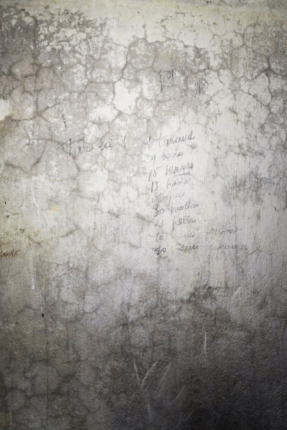 Ligne Maginot - B723 - FERME AUX PUCES - (Blockhaus pour canon) -  - Ludovic KNAPP