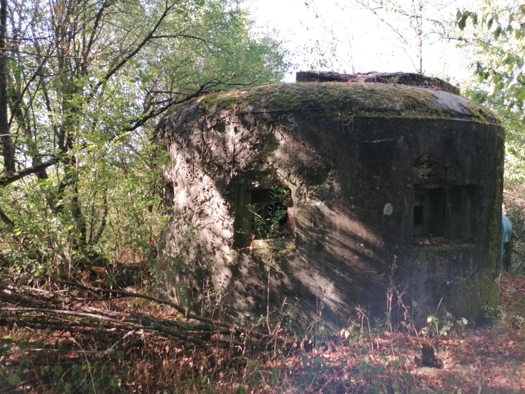 Ligne Maginot - R10B - (Blockhaus pour arme infanterie) - Vue avant du blockhaus. - DISS D