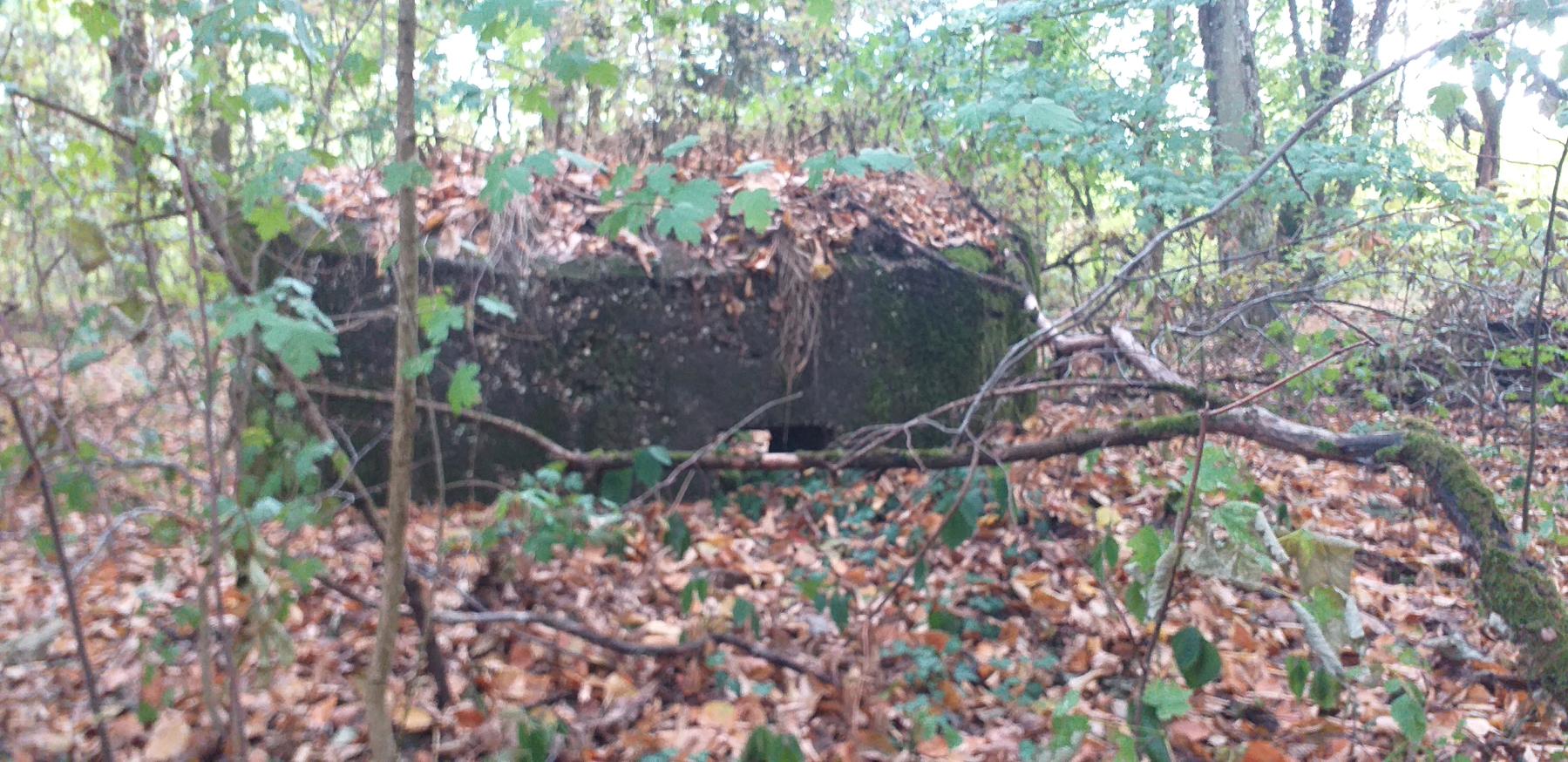 Ligne Maginot - HERBITZHEIM 28 - (Blockhaus pour arme infanterie) - Créneau principal - jean michel minich