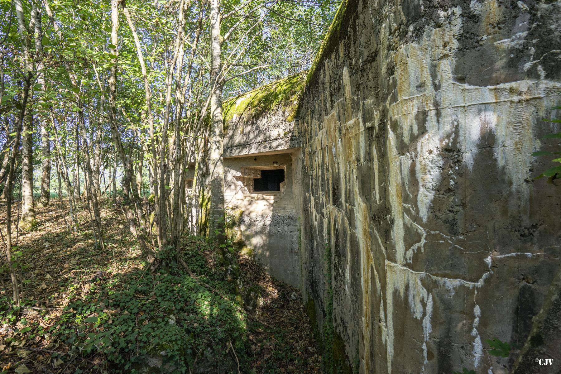 Ligne Maginot - C1 - LES ESSARTS - (Casemate d'infanterie - Double) - Les créneaux sud-est - Lia VERMEULEN