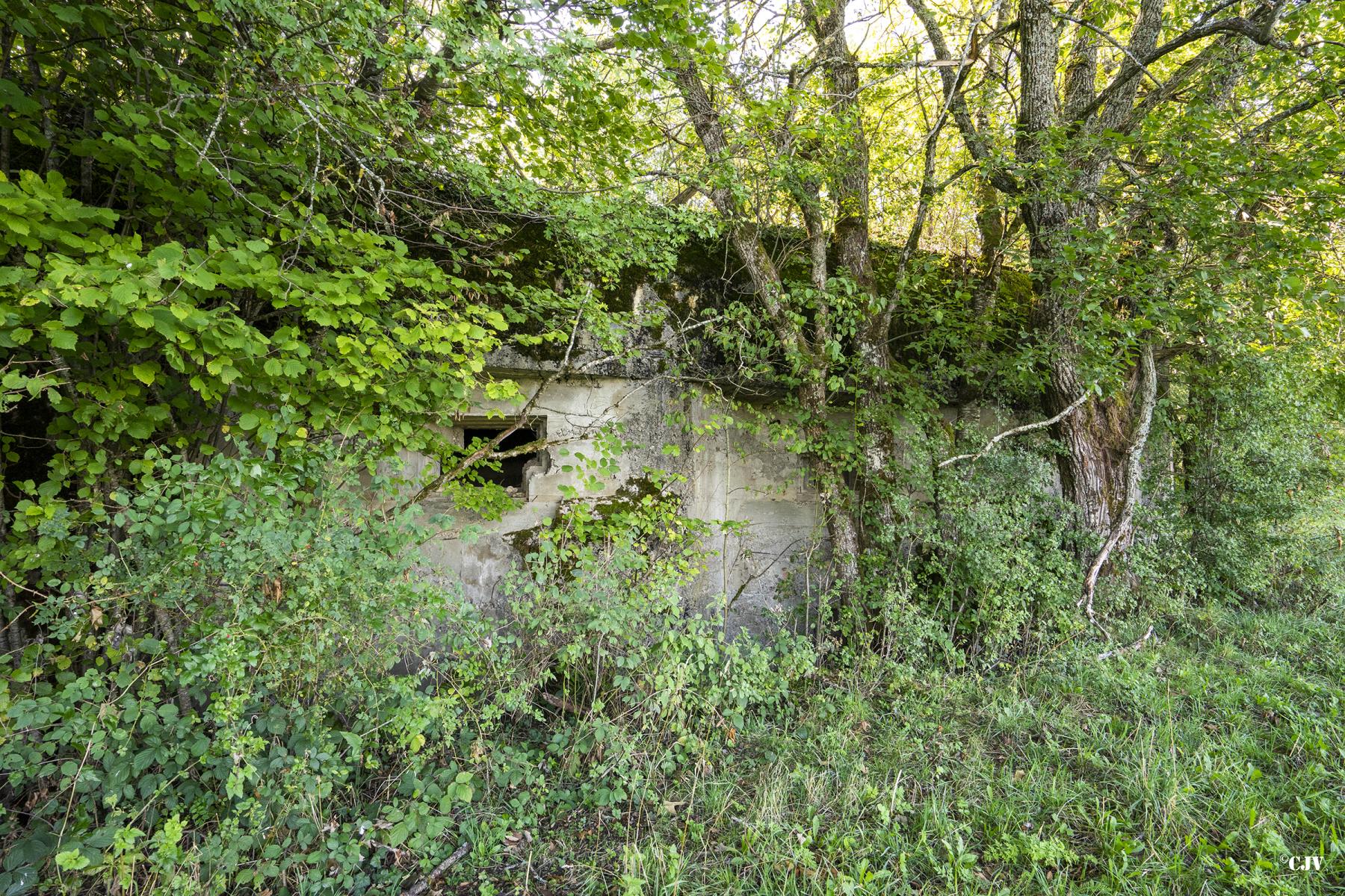 Ligne Maginot - C1 - LES ESSARTS - (Casemate d'infanterie - Double) - Les créneaux nord-ouest - Lia VERMEULEN