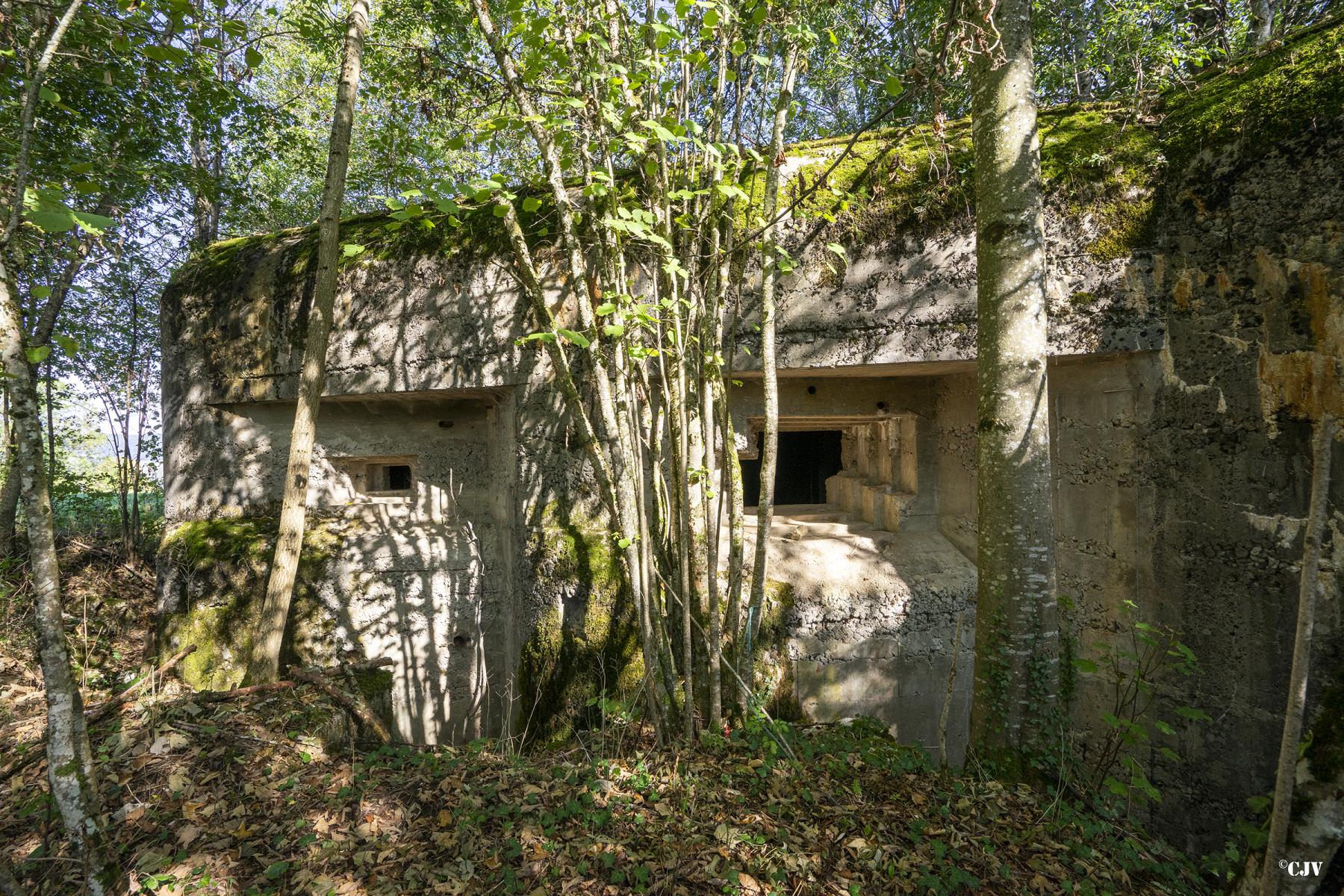 Ligne Maginot - C1 - LES ESSARTS - (Casemate d'infanterie - Double) - Les créneaux sud-est - Lia VERMEULEN