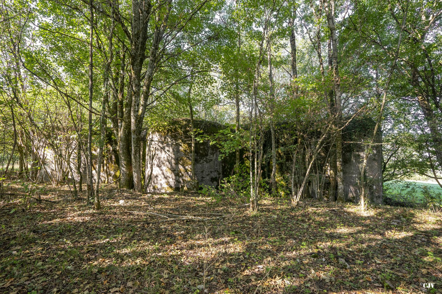 Ligne Maginot - C1 - LES ESSARTS - (Casemate d'infanterie - Double) - Coté arrière - Lia VERMEULEN