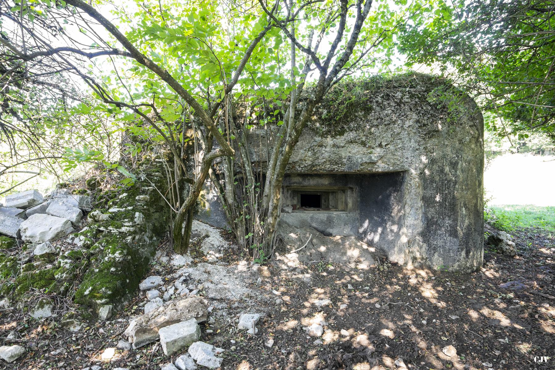 Ligne Maginot - B2 - LE BAS DES PRÉS NORD - (Blockhaus pour arme infanterie) - La face avant - Lia VERMEULEN