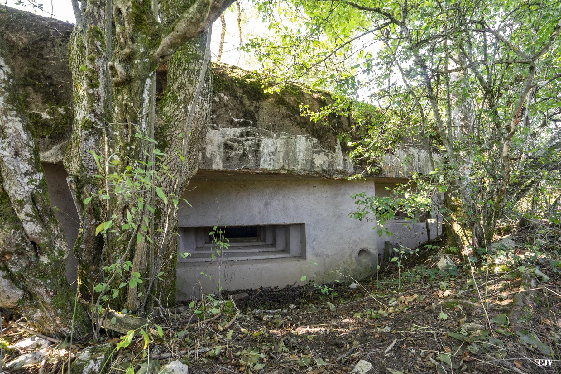 Ligne Maginot - B3 - LE BAS DES PRÉS SUD - (Blockhaus pour canon) - La face avant - Lia VERMEULEN