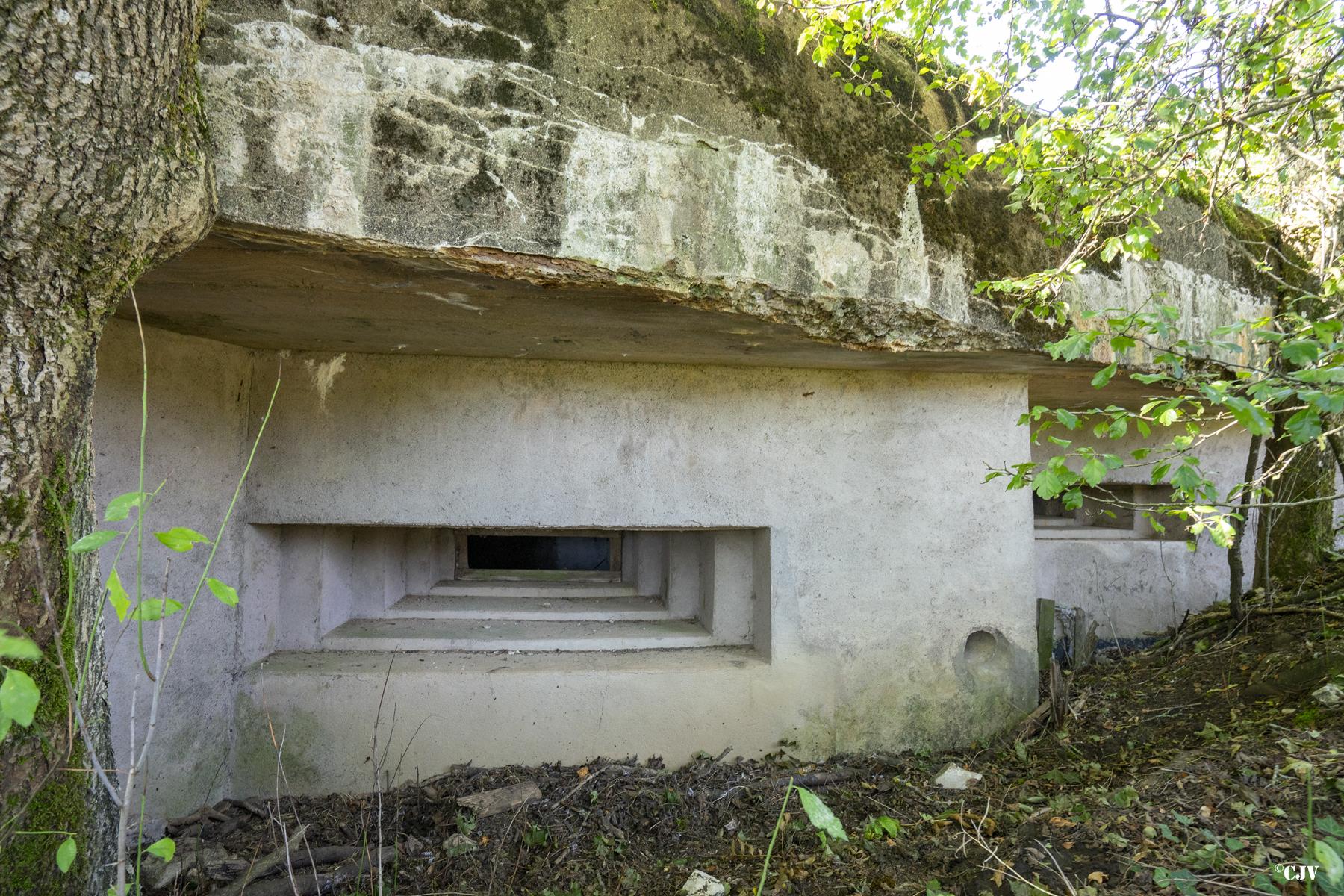 Ligne Maginot - B3 - LE BAS DES PRÉS SUD - (Blockhaus pour canon) - Les deux créneaux - Lia VERMEULEN