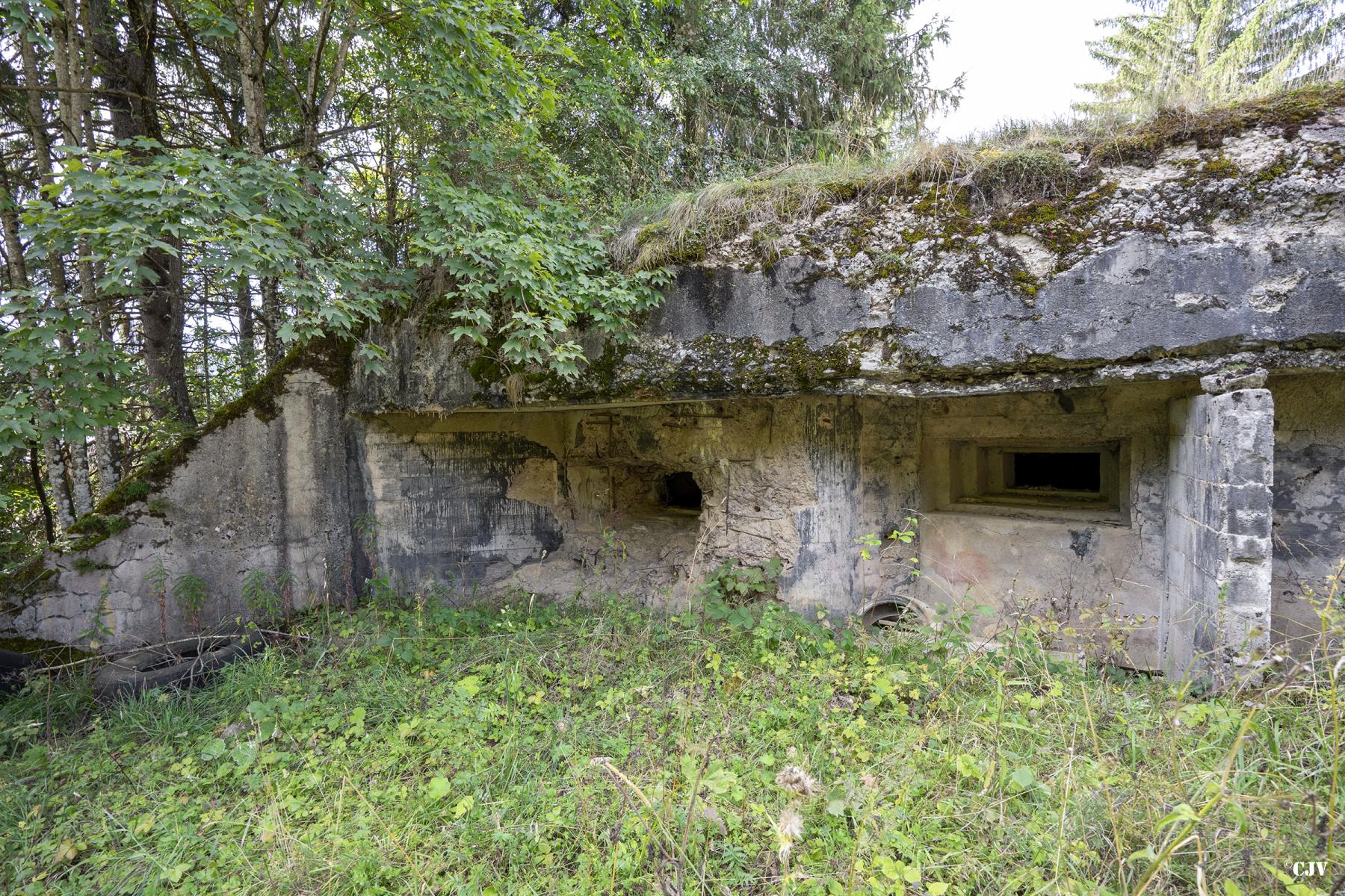 Ligne Maginot - B7 - MEIX-VANNOT - (Blockhaus pour canon) - Le blockhaus couvre la route venant du nord - Lia VERMEULEN