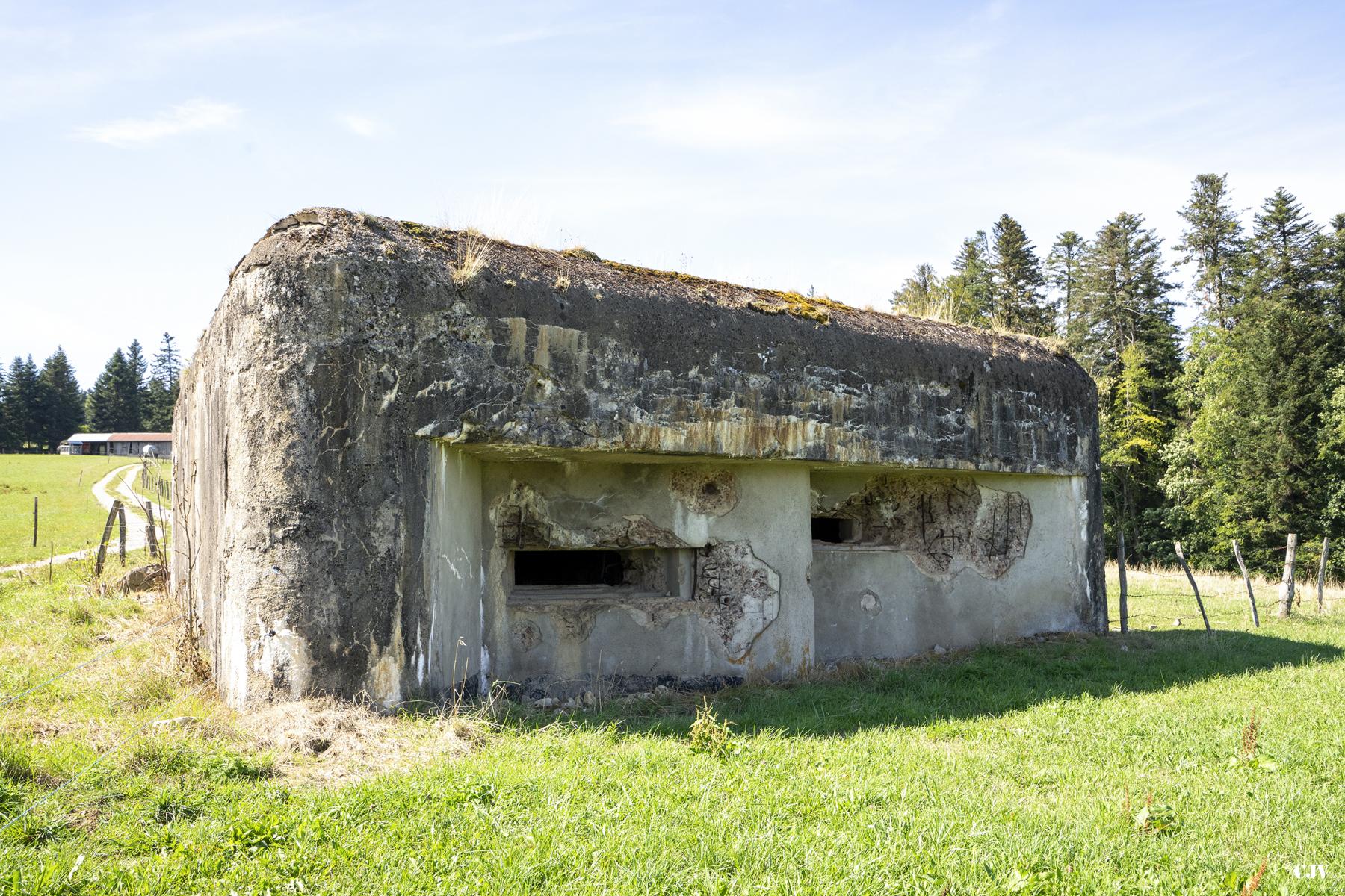 Ligne Maginot - B6 - LES RICHARD - (Blockhaus pour arme infanterie) -  - Lia VERMEULEN