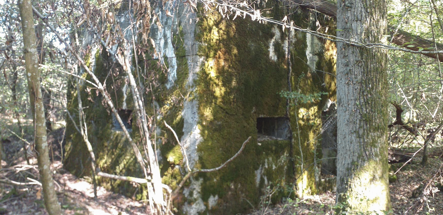 Ligne Maginot - SCHWANDELWALD SUD - (Blockhaus pour arme infanterie) - Les deux créneaux, l'un frontal et l'autre en flanquement gauche. - Jean Michel MINICH
