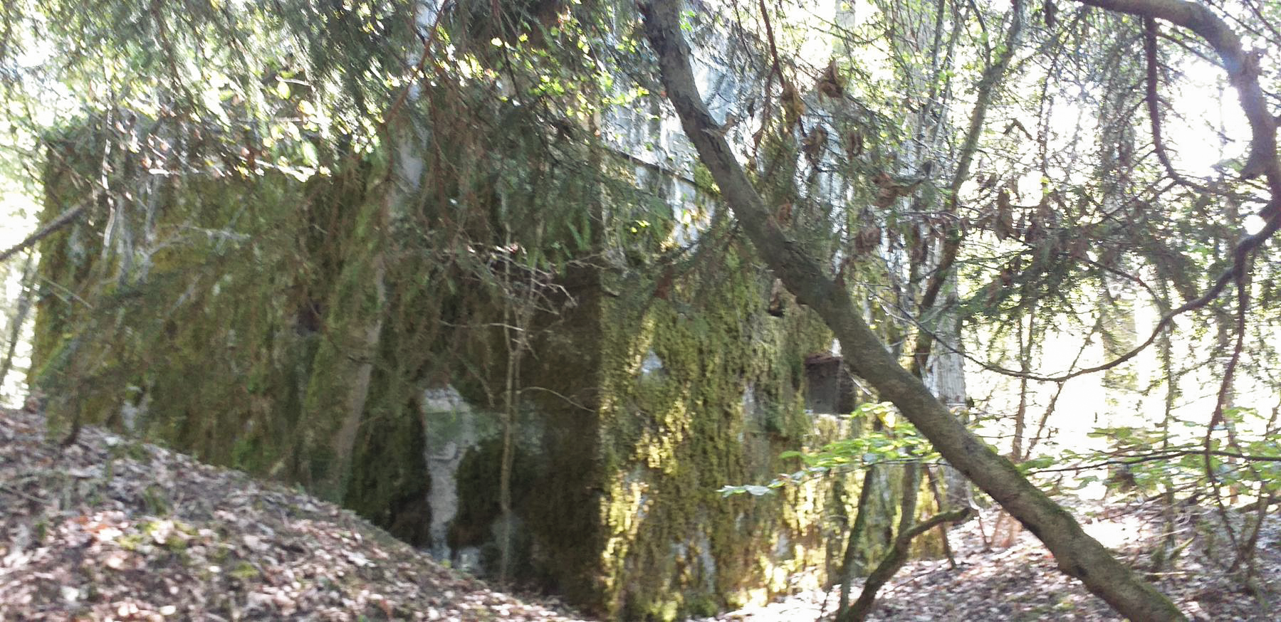 Ligne Maginot - SCHWANDELWALD SUD - (Blockhaus pour arme infanterie) - Le créneau frontal - Jean Michel MINICH