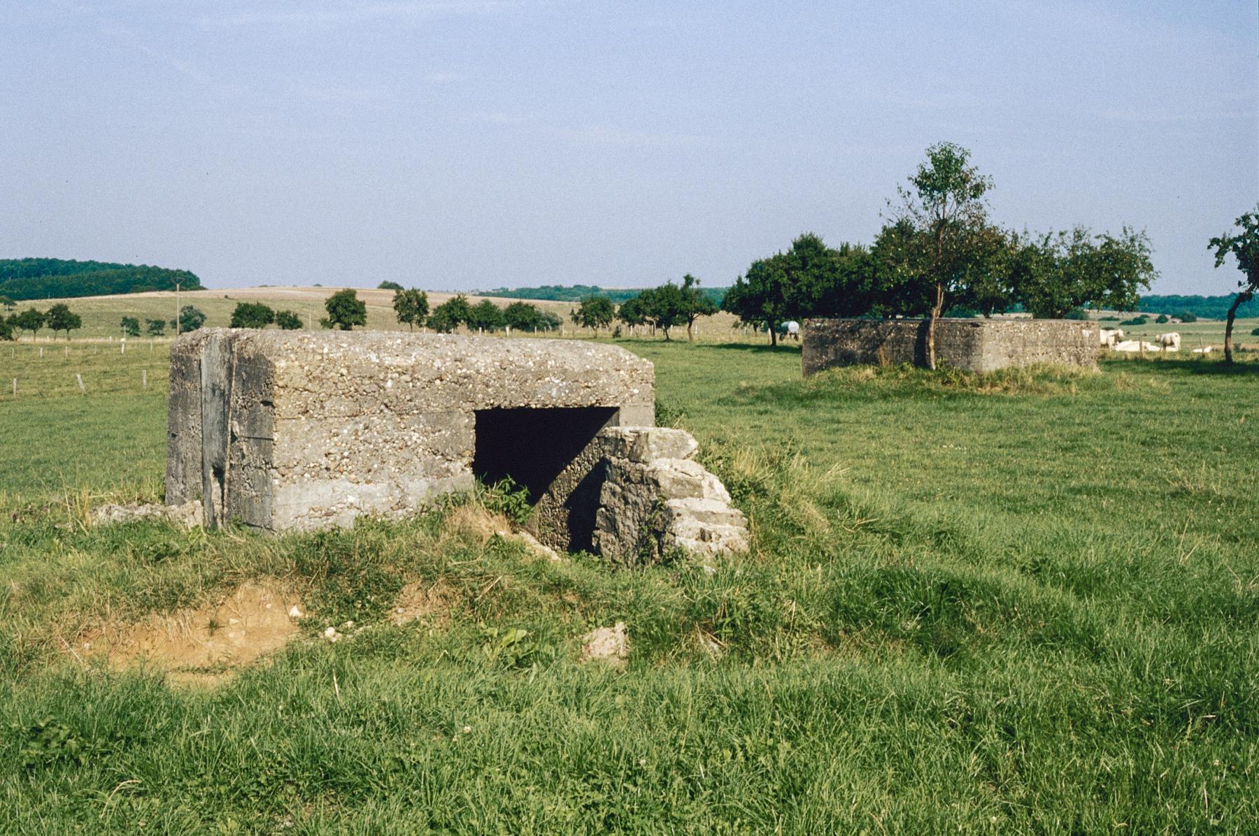 Ligne Maginot - RUISSEAU 6 - (Blockhaus pour arme infanterie) - Les deux blockhaus - MANSUY Michel