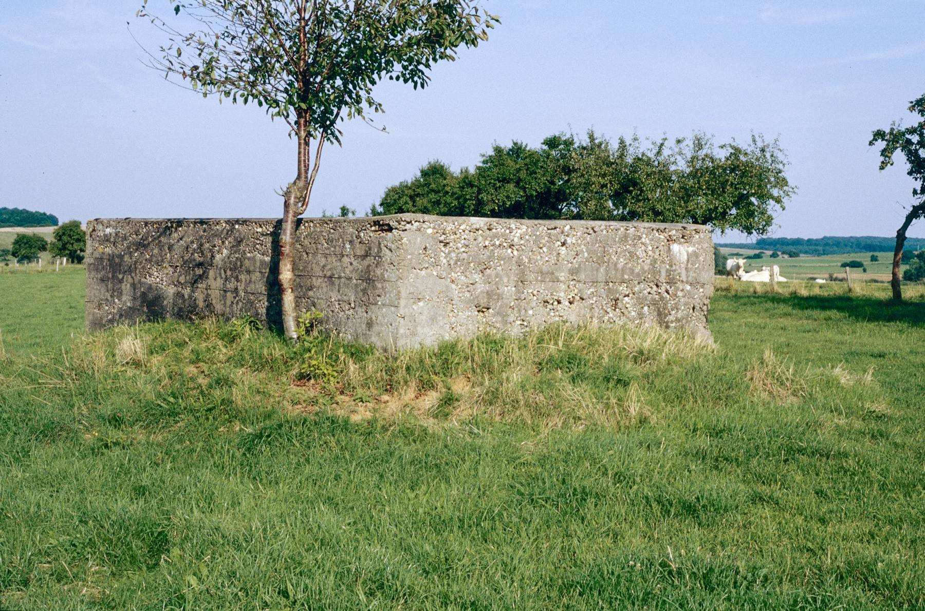 Ligne Maginot - RUISSEAU 7 - (Blockhaus de type indéterminé) -  - MANSUY Michel