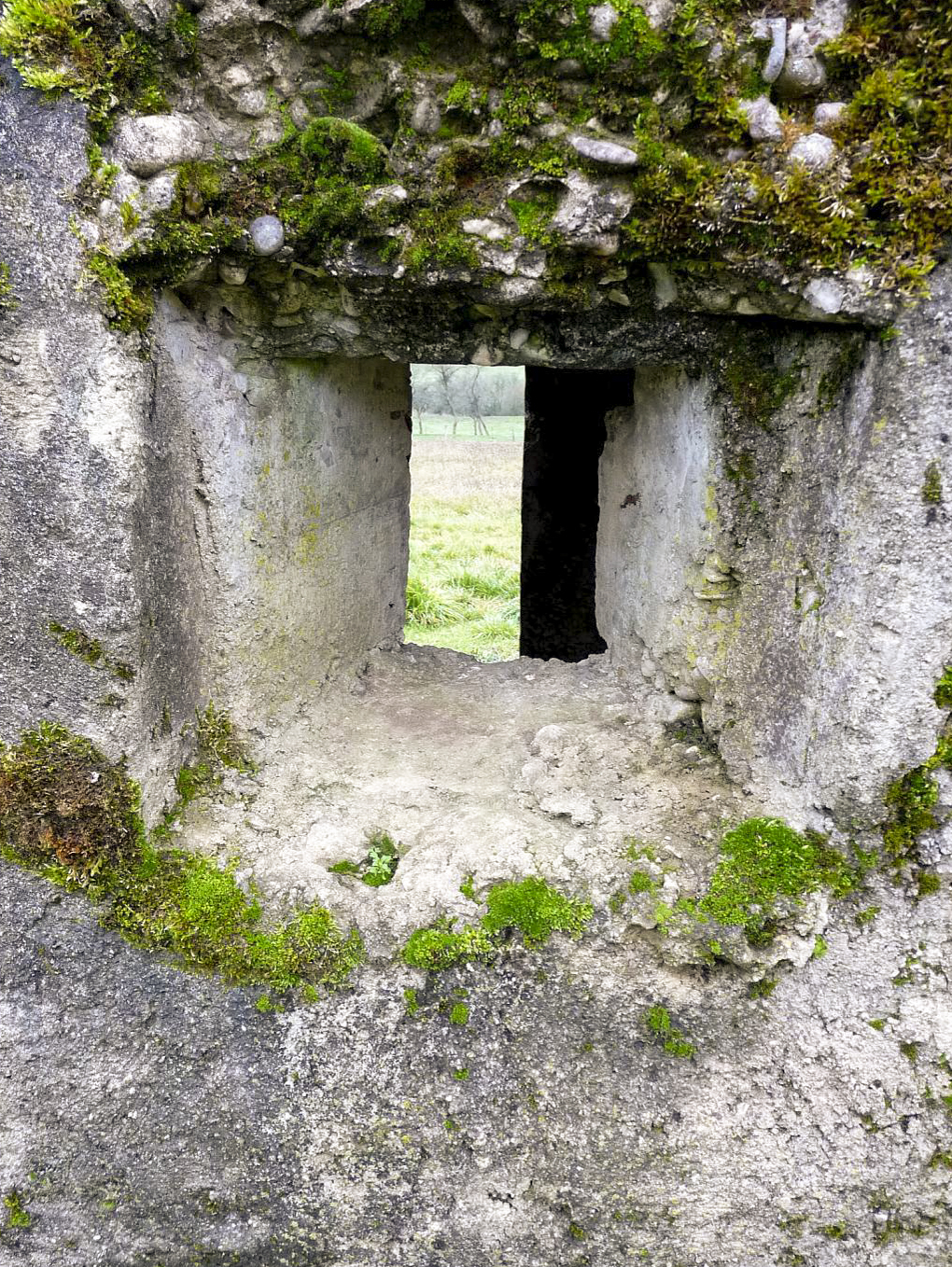 Ligne Maginot - LE 75 3 - (Blockhaus pour arme infanterie) -  - Sylvie Laure LAMBERT
