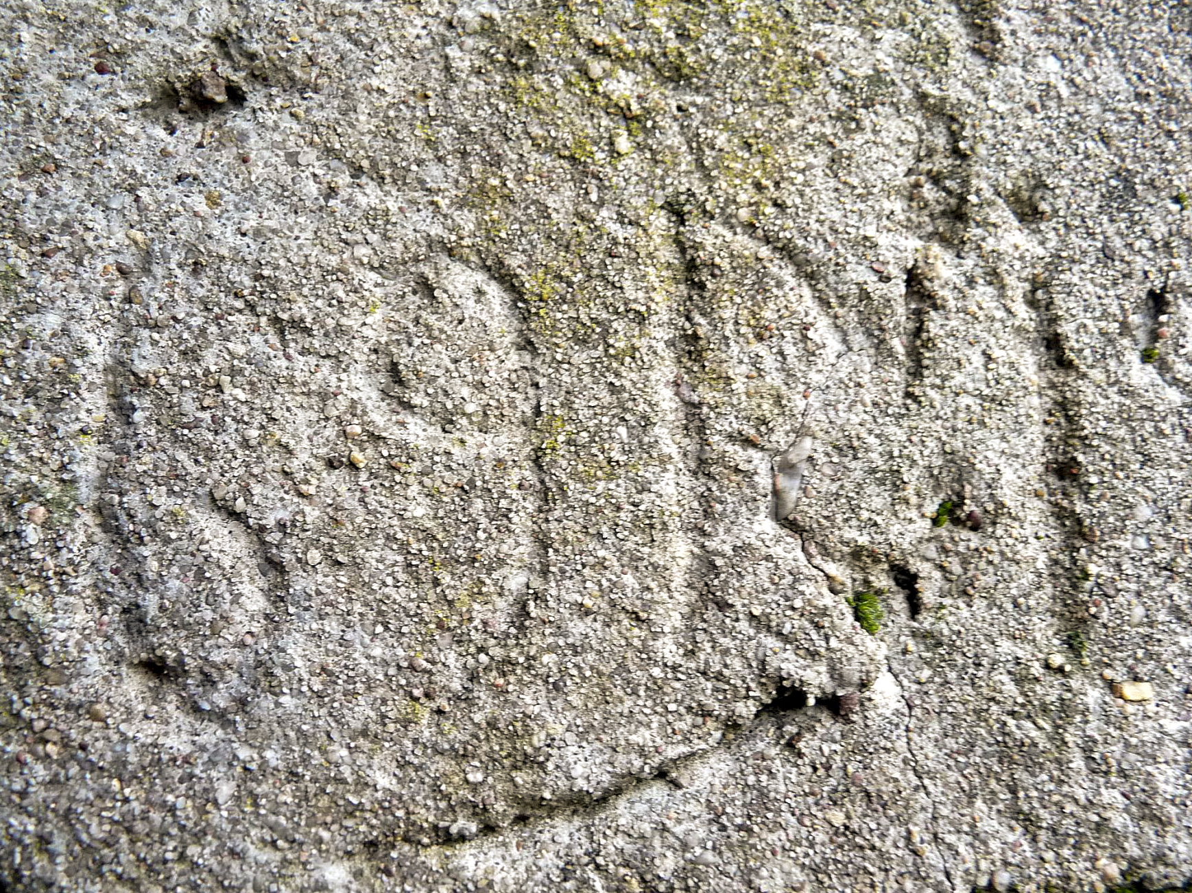 Ligne Maginot - LE 75 3 - (Blockhaus pour arme infanterie) - Inscription sur l'avant du blockhaus au dessus de l'entrée