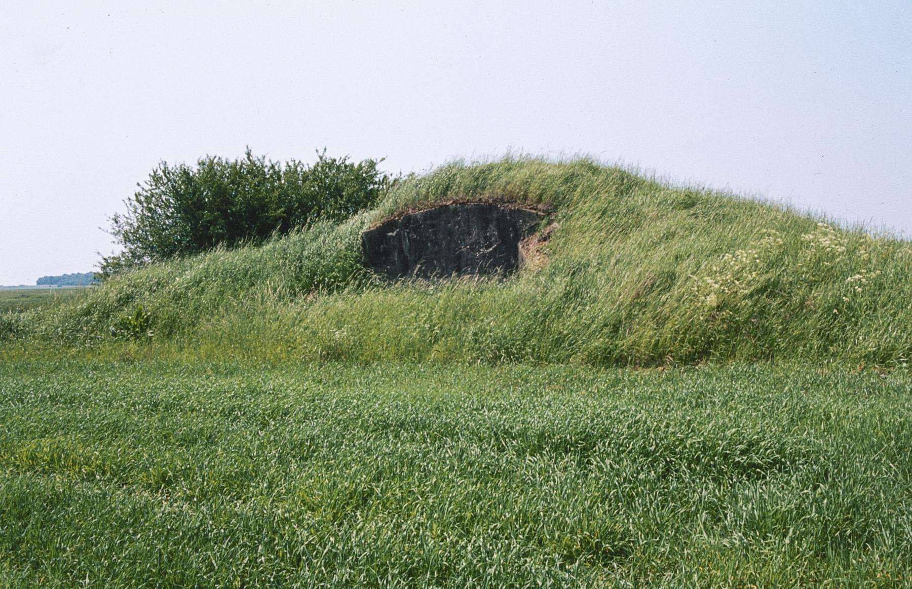 Ligne Maginot - LES CHATS - (PC) -  - MANSUY Michel