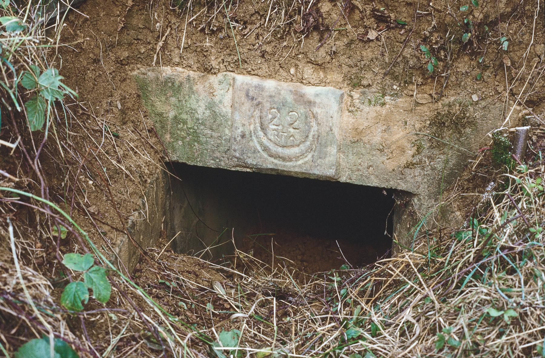 Ligne Maginot - LES CHATS - (PC) -  - MANSUY Michel