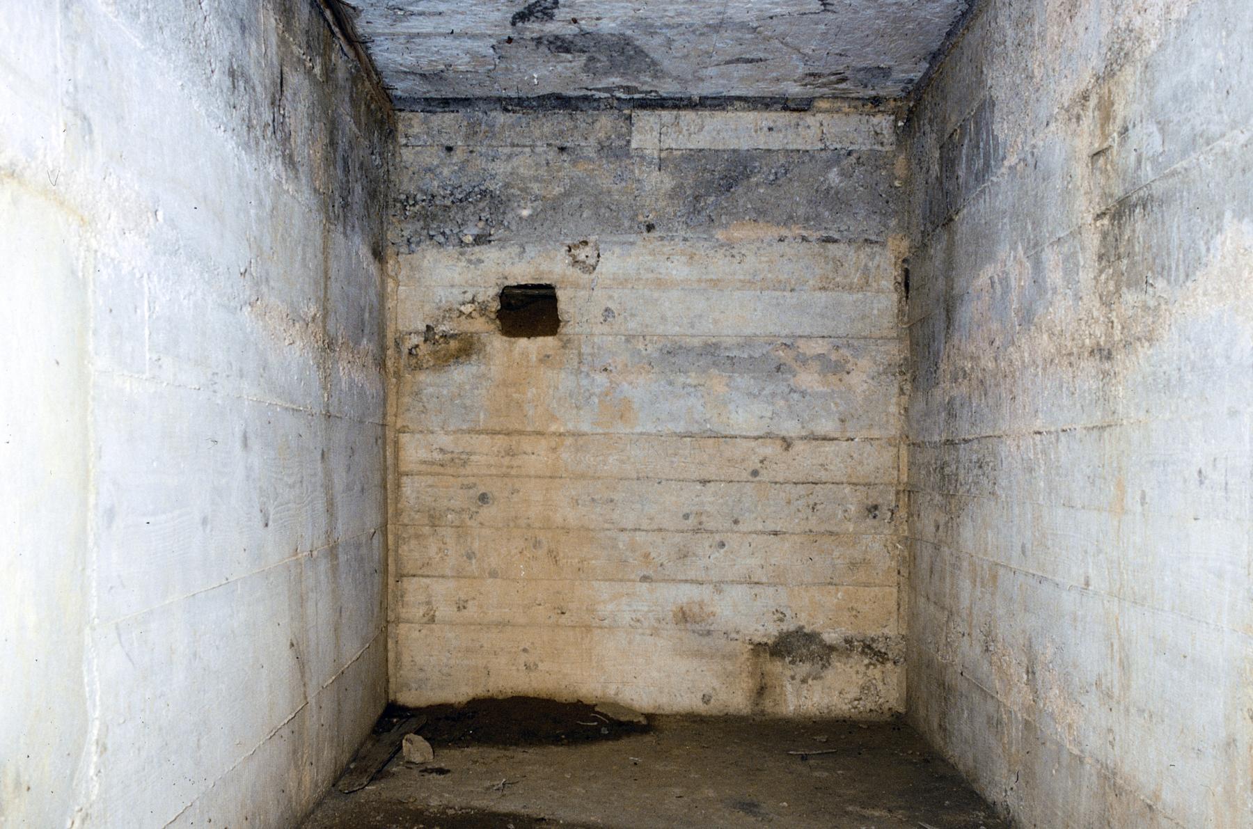 Ligne Maginot - LES CHATS - (PC) -  - MANSUY Michel