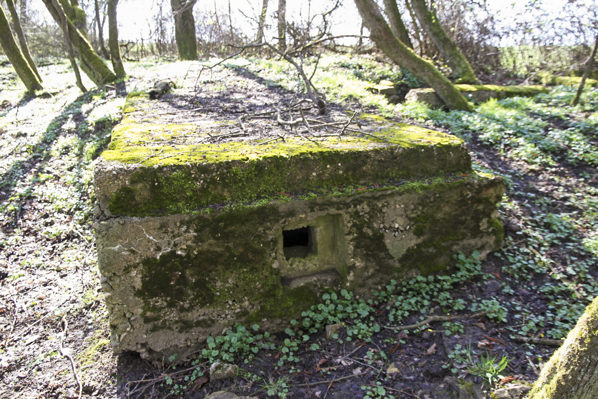 Ligne Maginot - MISTBERG 3 - 