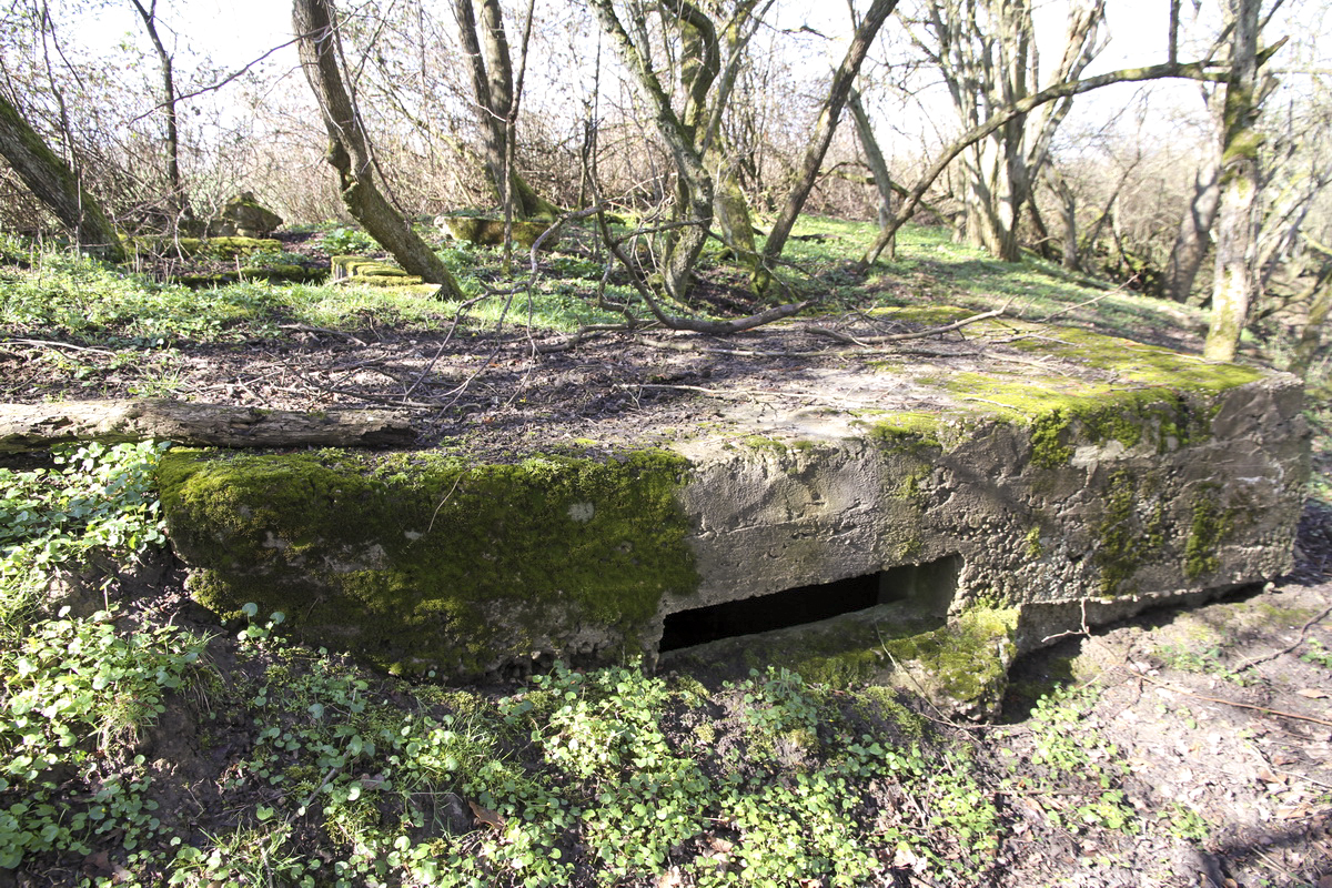 Ligne Maginot - MISTBERG 3 - 