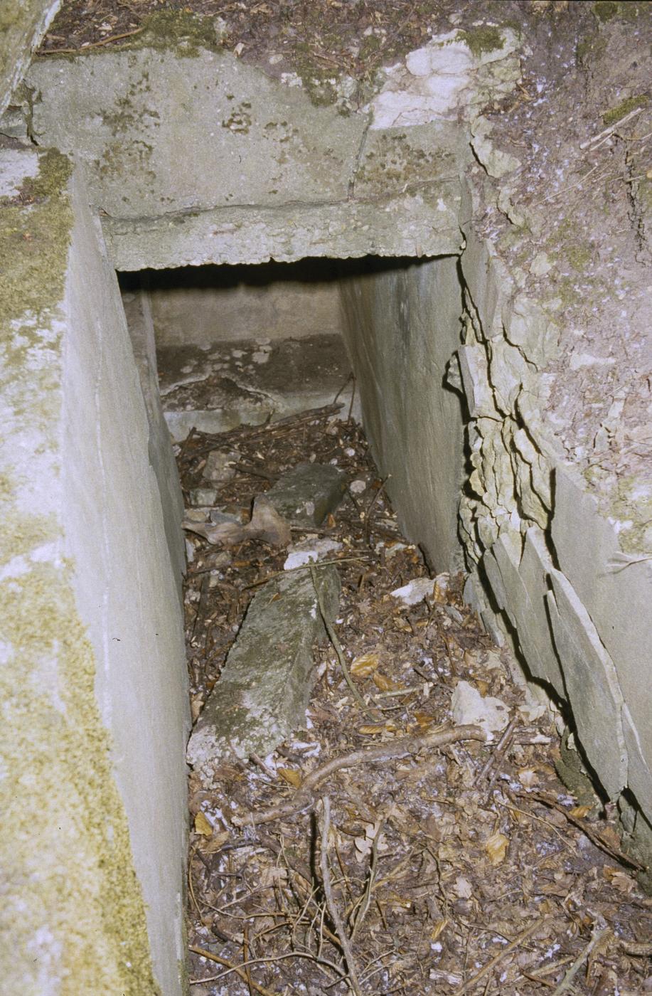 Ligne Maginot - MISTBERG 3 - (Blockhaus pour arme infanterie) - L'entrée - MANSUY Michel
