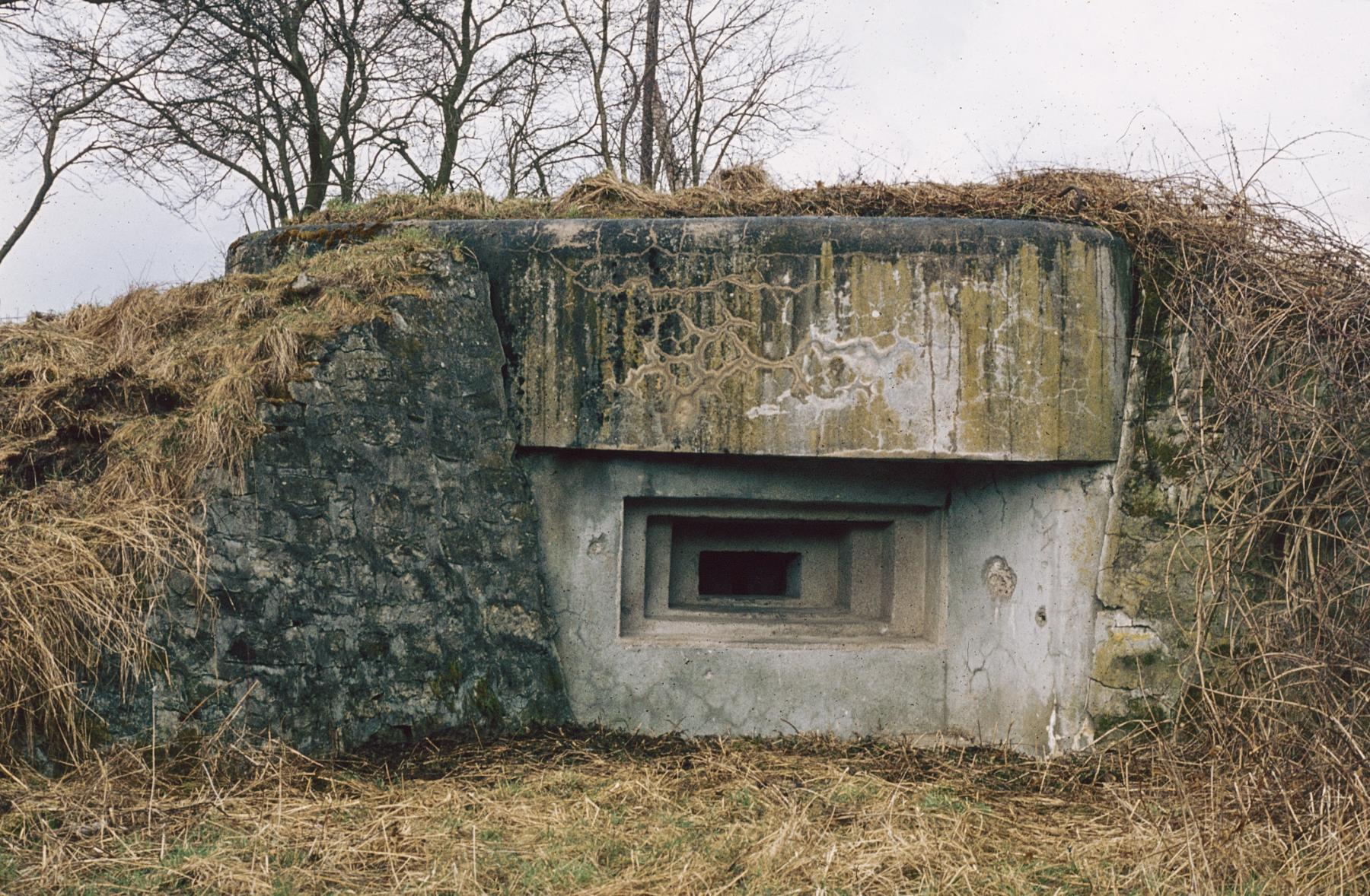 Ligne Maginot - DOMFESSEL GARE - (Blockhaus pour arme infanterie) -  - MANSUY Michel