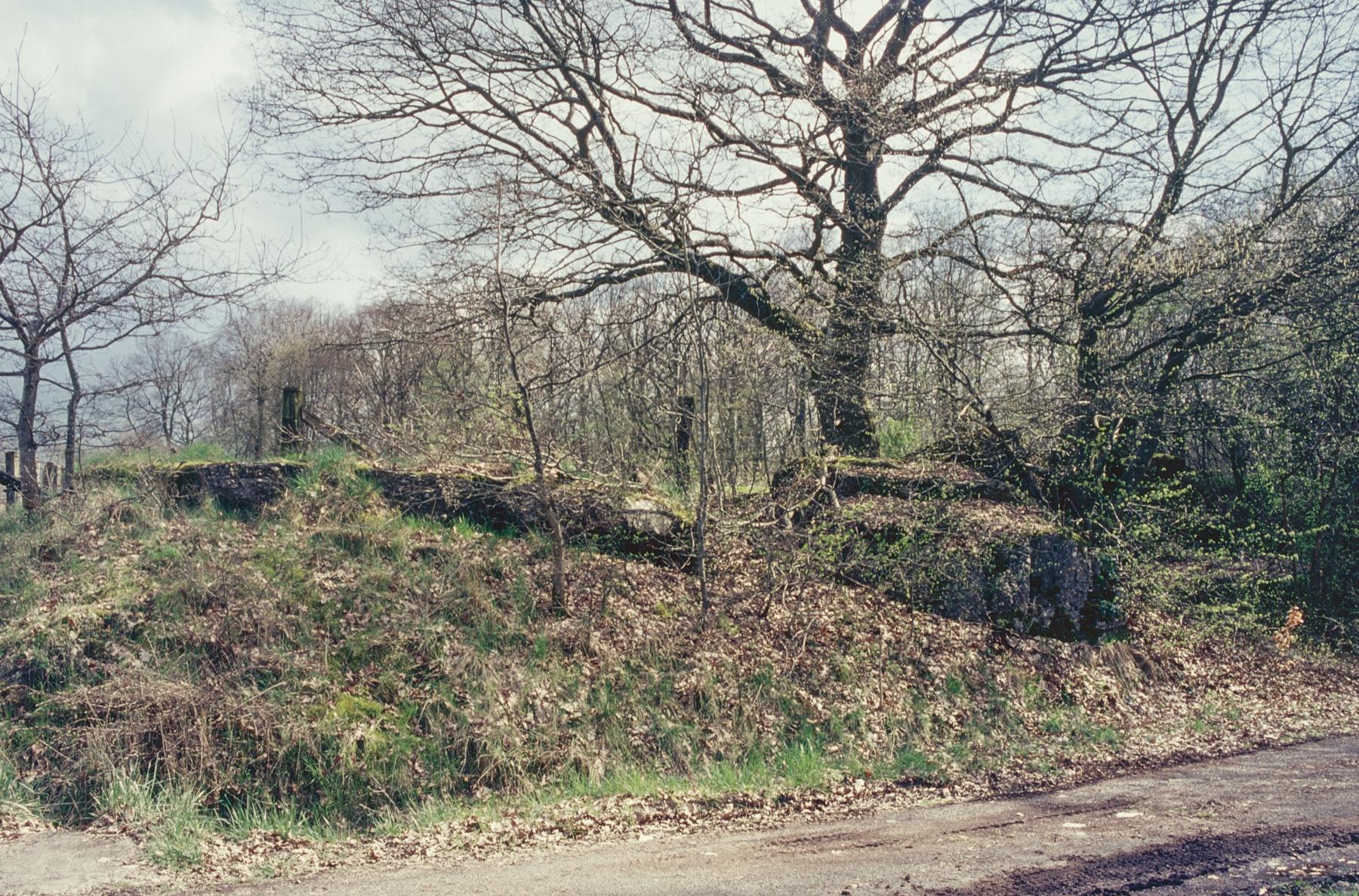 Ligne Maginot - M6B - GRUNDVILLER 1 - (Blockhaus pour arme infanterie) -  - MANSUY Michel