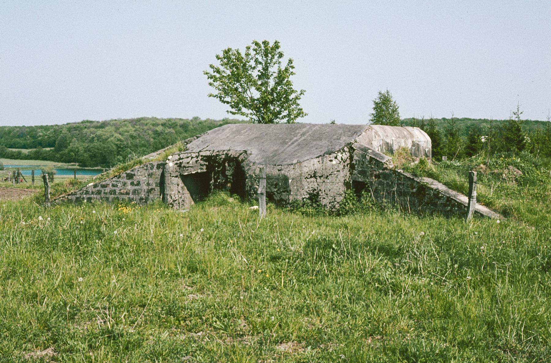 Ligne Maginot - GUEBENHOUSE 2 - (Blockhaus pour canon) -  - MANSUY Michel