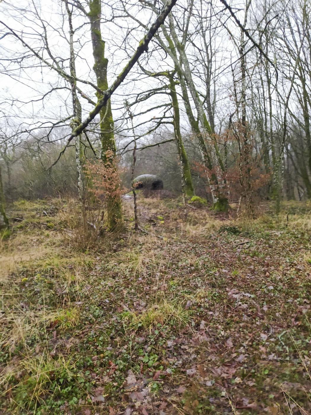 Ligne Maginot - BOIS DE KANFEN - X5 - (Abri) - Vue au loin de l'abri et sur sa cloche GFM restante.