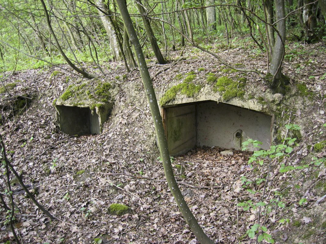 Ligne Maginot - BOIS DE KANFEN - X5 - (Abri) - Niches pour stockage de matériel à proximité de l'abri