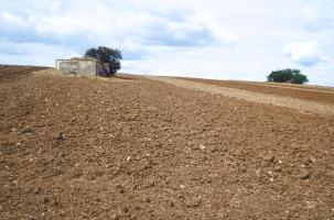Ligne Maginot - RODENBERG 4 - (Blockhaus pour arme infanterie) - 