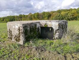 Ligne Maginot - STRANGETZEL EST - (Blockhaus de type indeterminé) - L'entrée