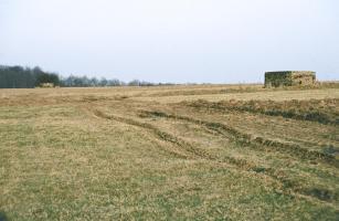 Ligne Maginot - STRANGETZEL OUEST - (Blockhaus pour arme infanterie) - Les deux blockhaus du Strangetzel