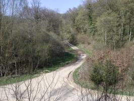Ligne Maginot - MF20 - W - BOUCHON DES RAPPES - (Poste GRM - Maison Forte) - Vue vers le nord-est