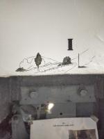 Ligne Maginot - BARRAGE DE WITTRING NORD - (Blockhaus pour arme infanterie) - 