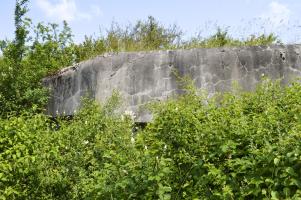 Ligne Maginot - DB41 - LES PERCHAILLES OUEST - (Blockhaus pour canon) - 