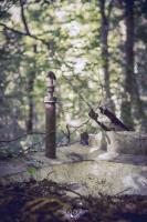 Ligne Maginot - BOIS DE BEUVEILLE - C2 (JACQUELINE) - (Casemate d'infanterie - Simple) - Les toilettes extérieures