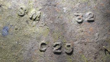 Ligne Maginot - BOIS DE TAPPE OUEST - C5 - (Casemate d'infanterie) - Marquage cloche ouest