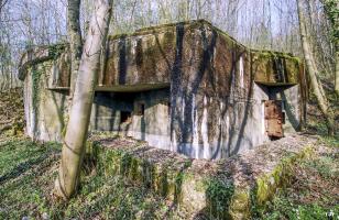 Ligne Maginot - BOIS DE TAPPE OUEST - C5 - (Casemate d'infanterie) - 