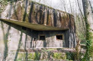 Ligne Maginot - BOIS DE TAPPE OUEST - C5 - (Casemate d'infanterie) - 