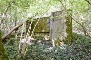 Ligne Maginot - DB302 - BOIS DE LATIREMONT - (Blockhaus pour canon) - 