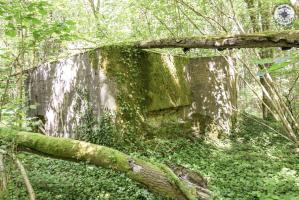 Ligne Maginot - DB302 - BOIS DE LATIREMONT - (Blockhaus pour canon) -  
