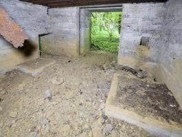 Ligne Maginot - DB302 - BOIS DE LATIREMONT - (Blockhaus pour canon) - 