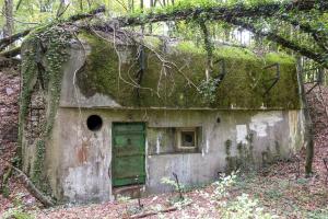 Ligne Maginot - CHENES BRULES - X23 - (Abri) - Coffre Sud