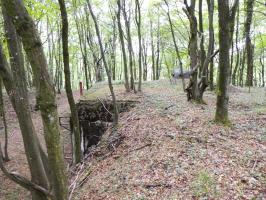 Ligne Maginot - CHENES BRULES - X23 - (Abri) - Coffre Nord